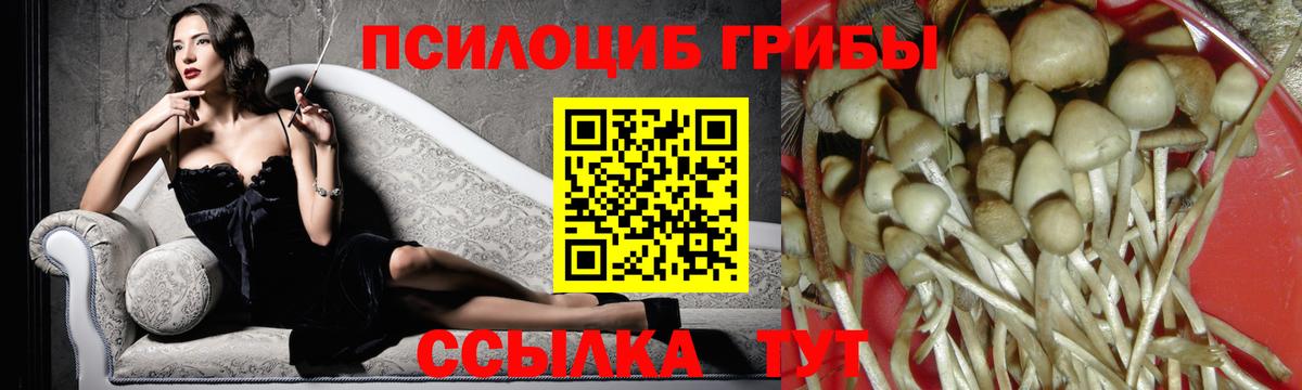 Галлюциногенные грибы мухоморы  Вход с VPN  закладка  Саянск 